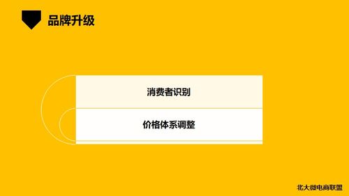 北大微電商聯盟 移動互聯網時代的企業IP與品牌營銷新路徑