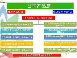 深耕日用品貿易 零售與批發進口的戰略布局與市場機遇